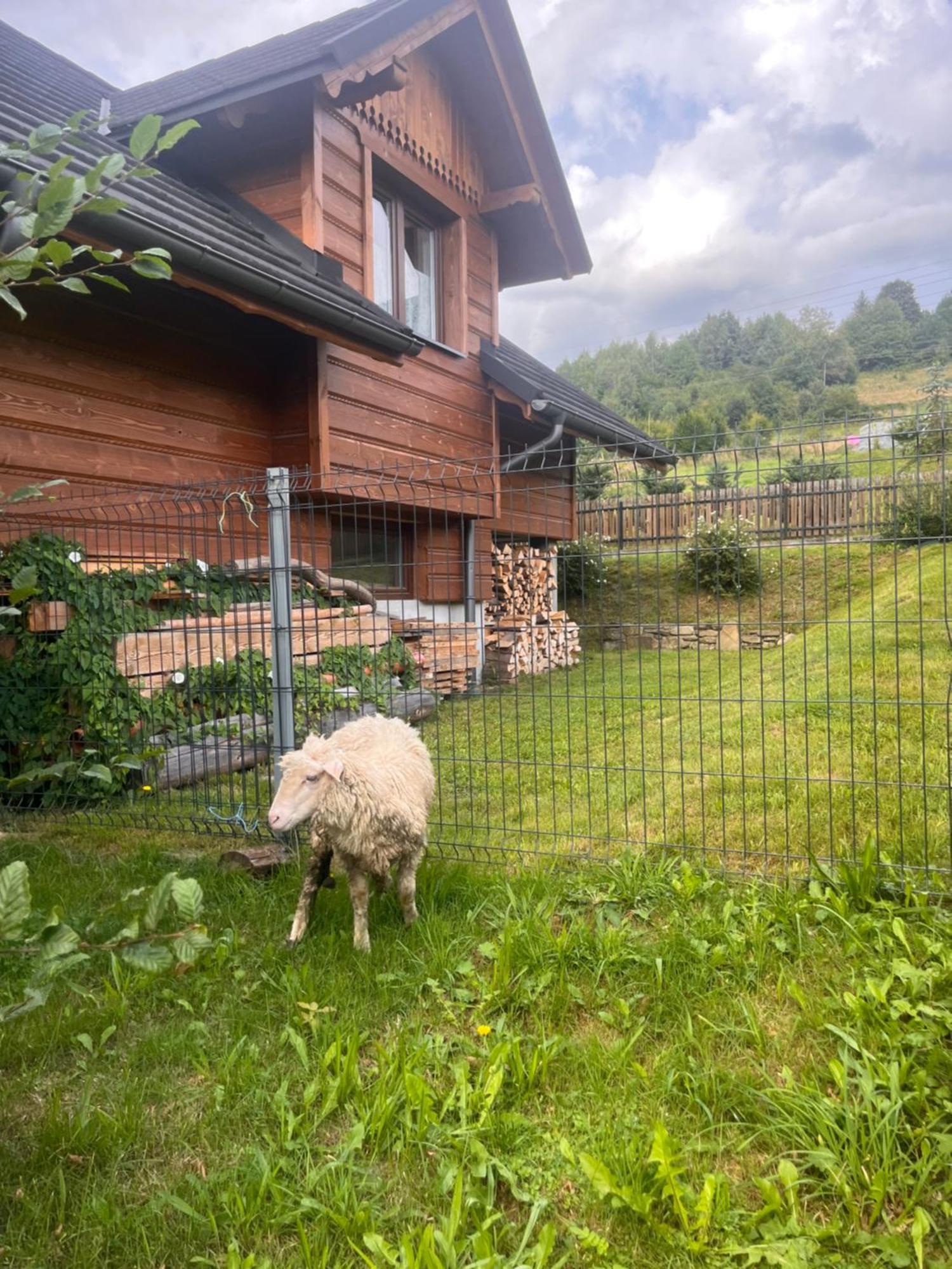 Na Smigowskim * Piwniczna-Zdroj